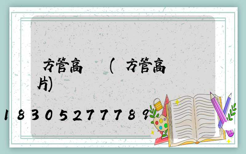 方管高桿燈(方管高桿燈圖片)