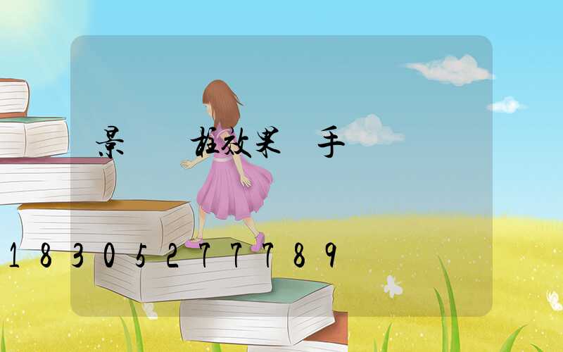 景觀燈柱效果圖手繪
