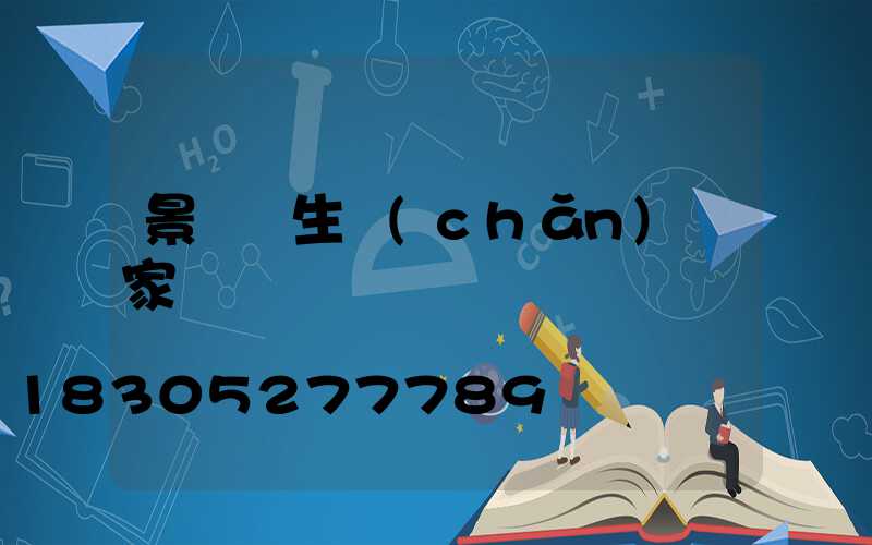 景觀燈生產(chǎn)廠家