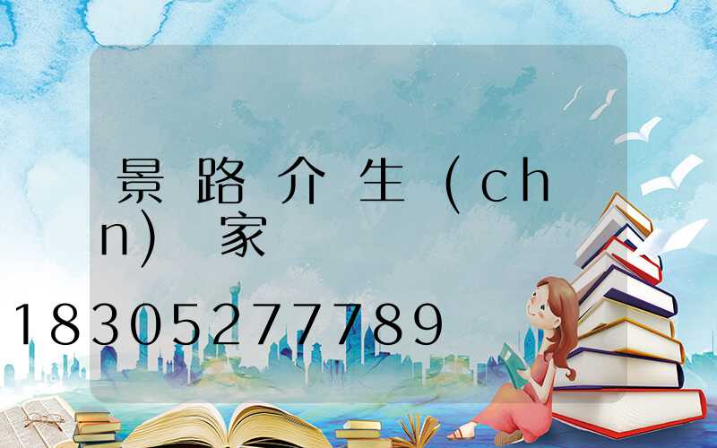 景觀路燈介紹生產(chǎn)廠家