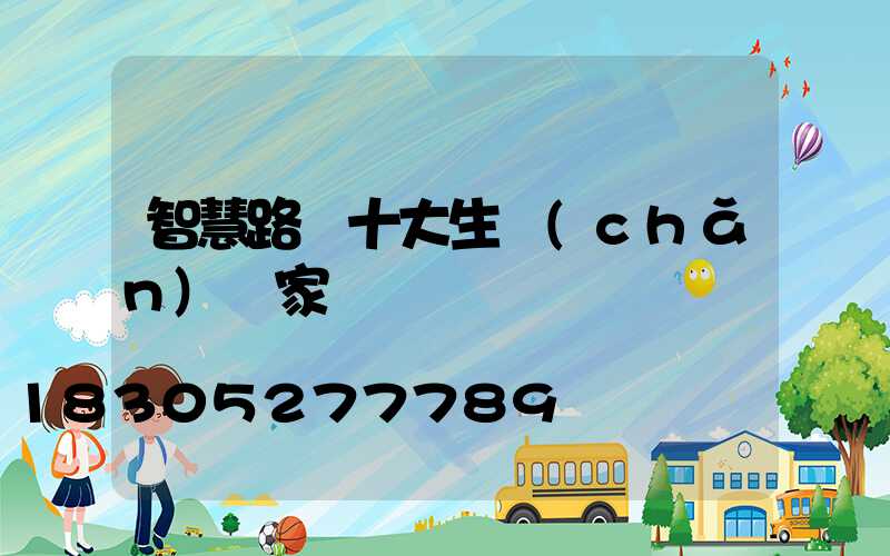 智慧路燈十大生產(chǎn)廠家