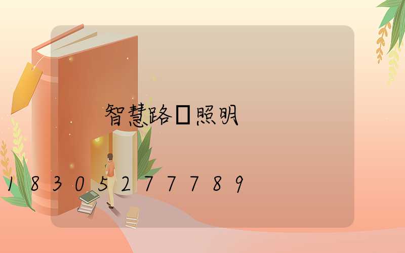 智慧路燈照明