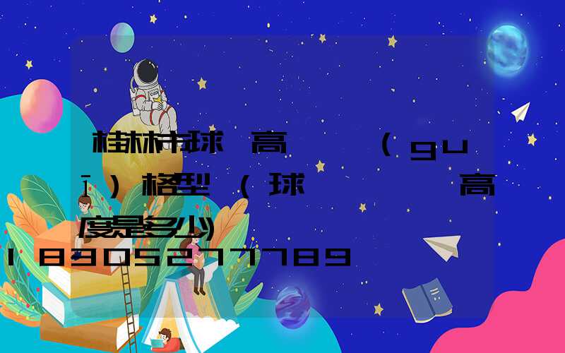 桂林市球場高桿燈規(guī)格型號(球場燈桿標準高度是多少)