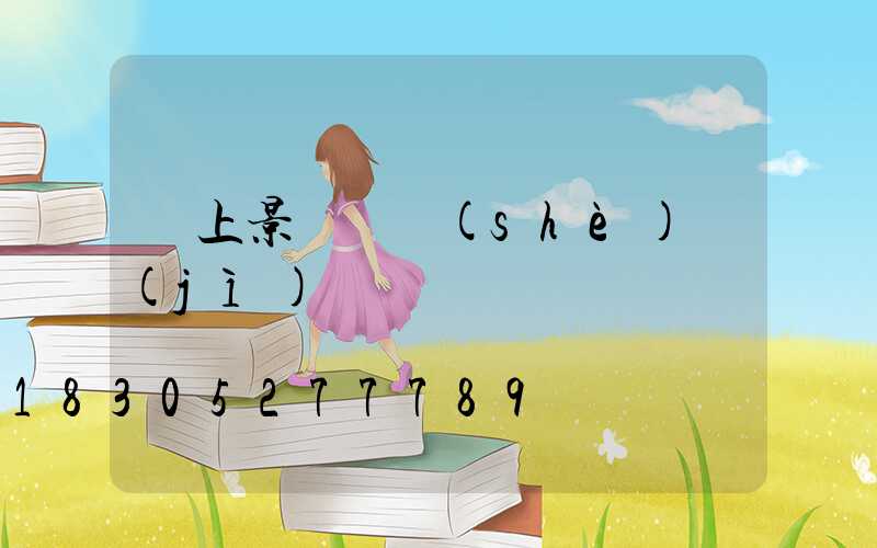 樹上景觀燈設(shè)計(jì)