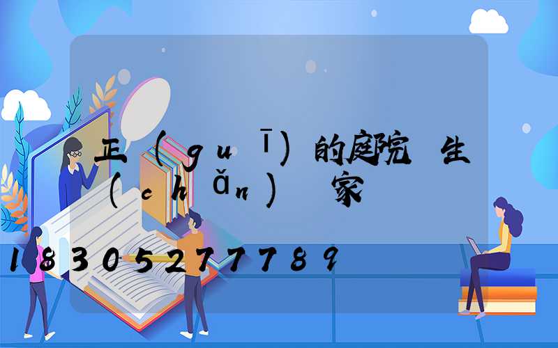 正規(guī)的庭院燈生產(chǎn)廠家