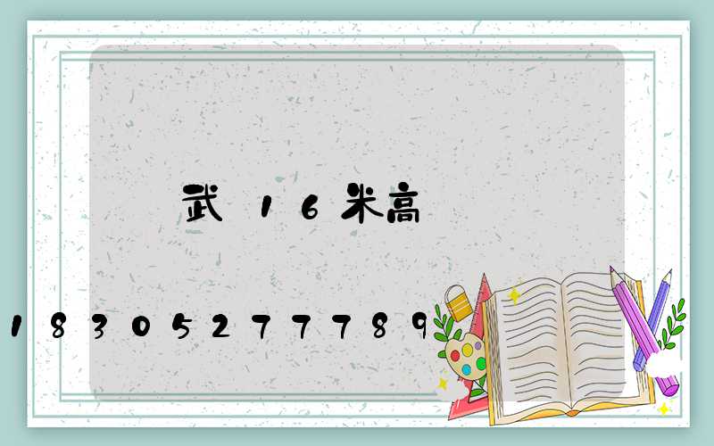 武漢16米高桿燈