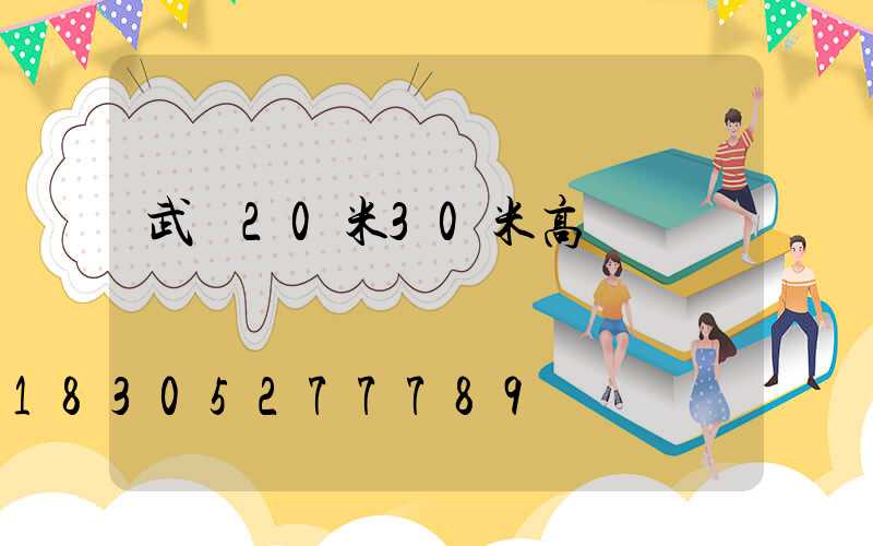 武漢20米30米高桿燈