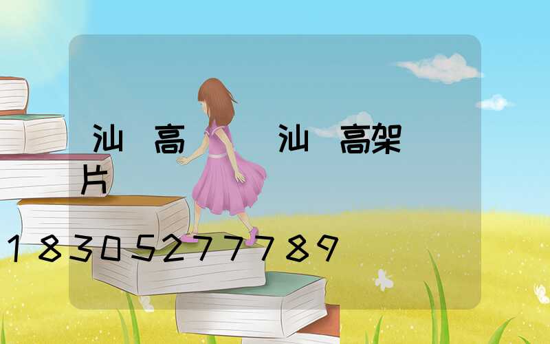 汕頭高桿燈(汕頭高架橋圖片)