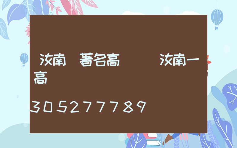 汝南縣著名高桿燈(汝南一高)