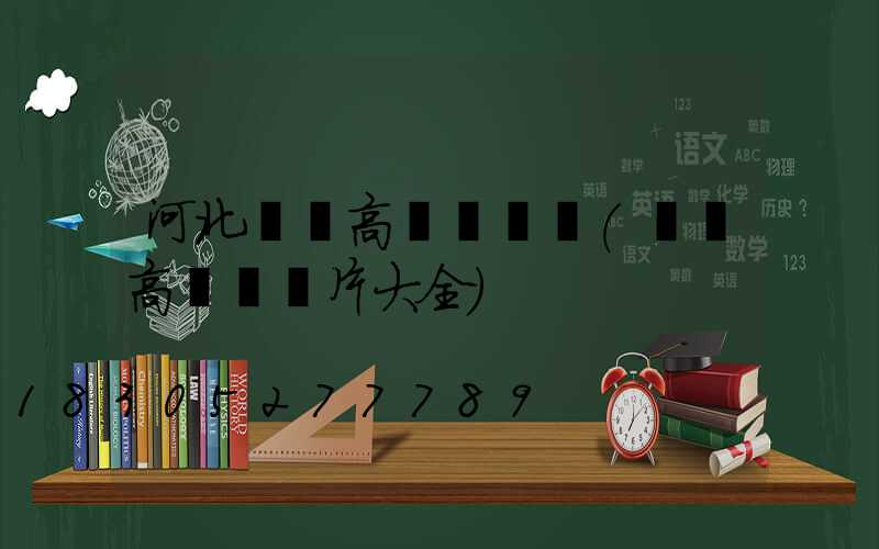 河北廣場高桿燈報價(廣場高桿燈圖片大全)
