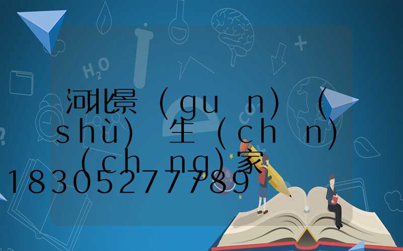河北景觀(guān)樹(shù)燈生產(chǎn)廠(chǎng)家