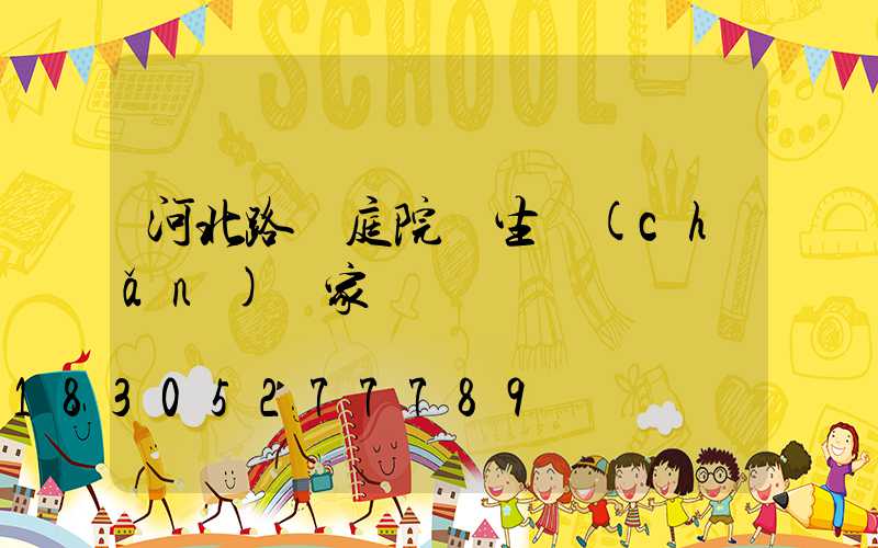 河北路燈庭院燈生產(chǎn)廠家