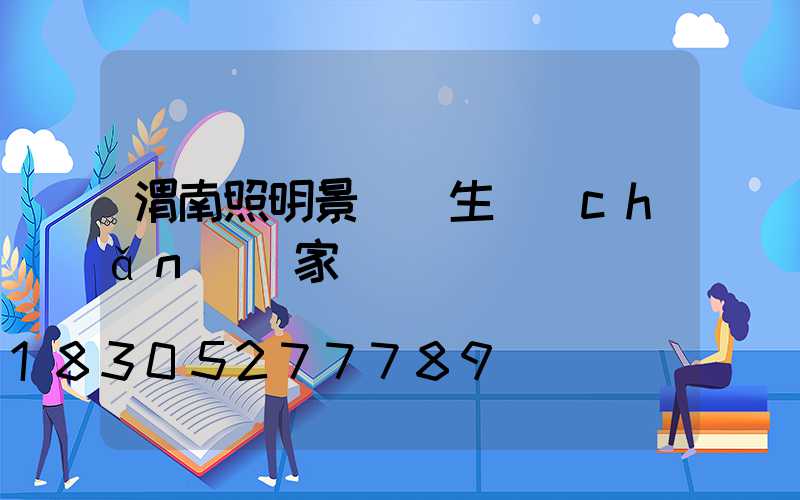 渭南照明景觀燈生產(chǎn)廠家
