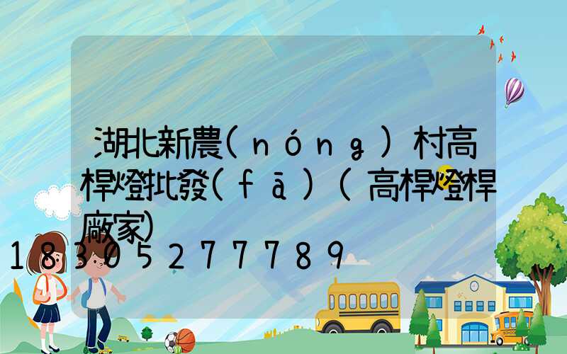 湖北新農(nóng)村高桿燈批發(fā)(高桿燈桿廠家)