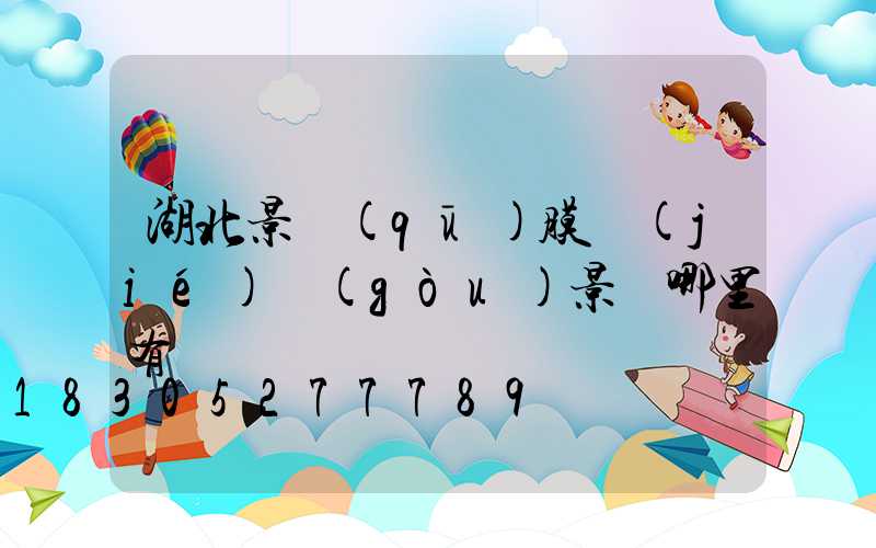 湖北景區(qū)膜結(jié)構(gòu)景觀哪里有