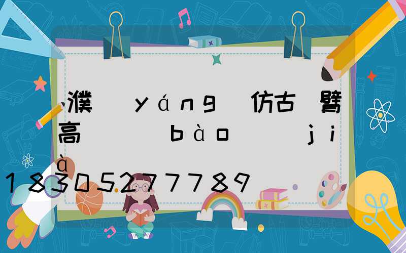 濮陽(yáng)仿古雙臂高桿燈報(bào)價(jià)