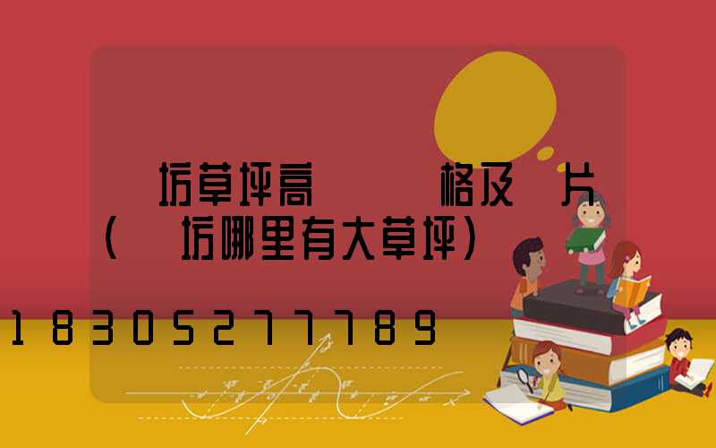 濰坊草坪高桿燈價格及圖片(濰坊哪里有大草坪)