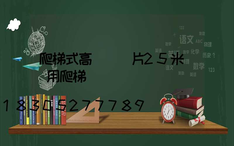 爬梯式高桿燈圖片25米(專用爬梯)