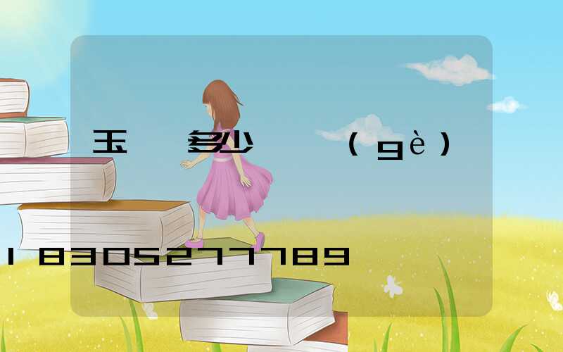 玉蘭燈多少錢一個(gè)