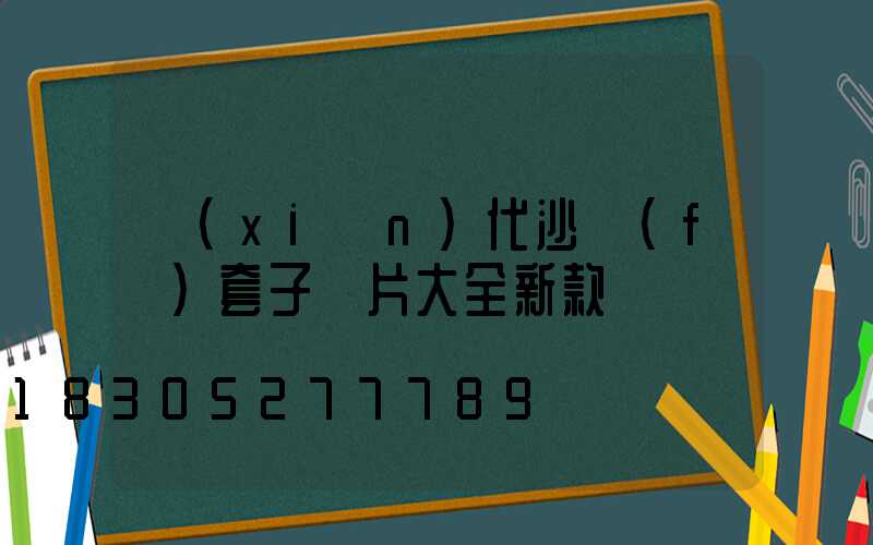 現(xiàn)代沙發(fā)套子圖片大全新款