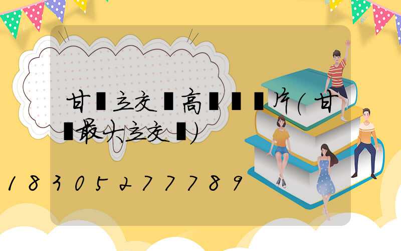 甘肅立交橋高桿燈圖片(甘肅最大立交橋)