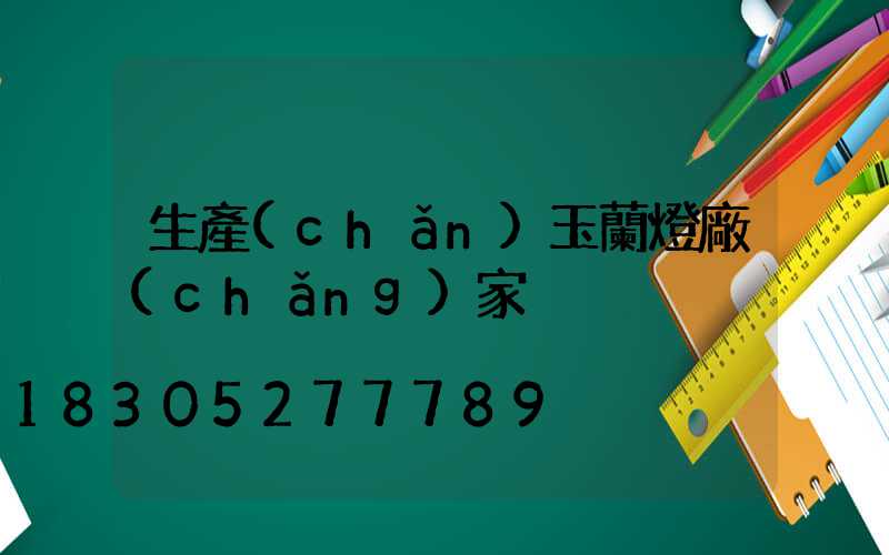 生產(chǎn)玉蘭燈廠(chǎng)家