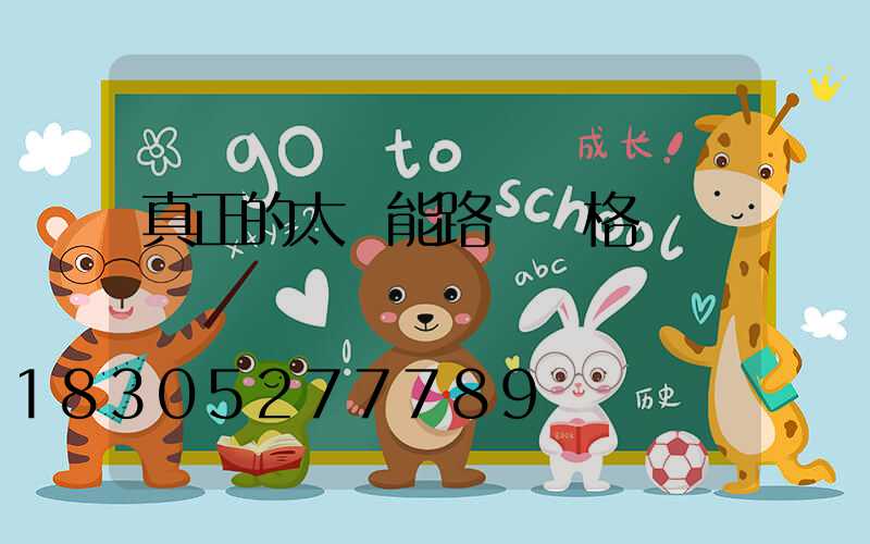 真正的太陽能路燈價格