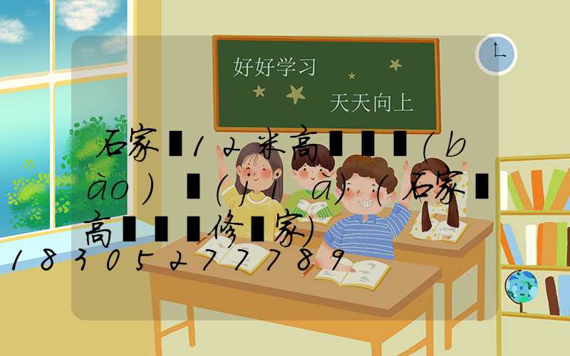 石家莊12米高桿燈報(bào)價(jià)(石家莊高桿燈維修廠家)