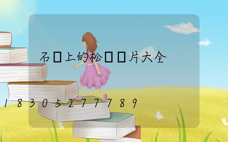 石頭上的松樹圖片大全