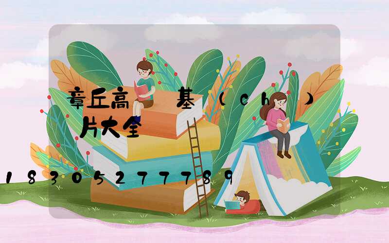 章丘高桿燈基礎(chǔ)圖片大全