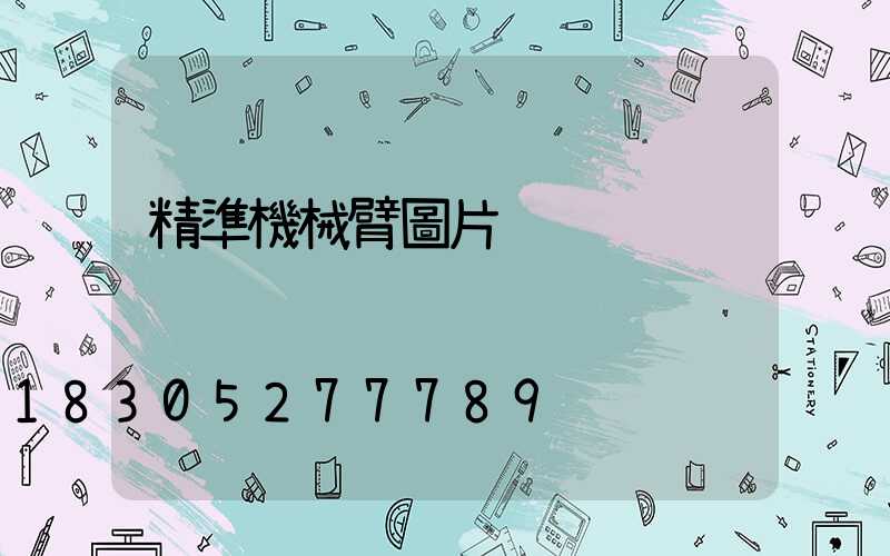 精準機械臂圖片