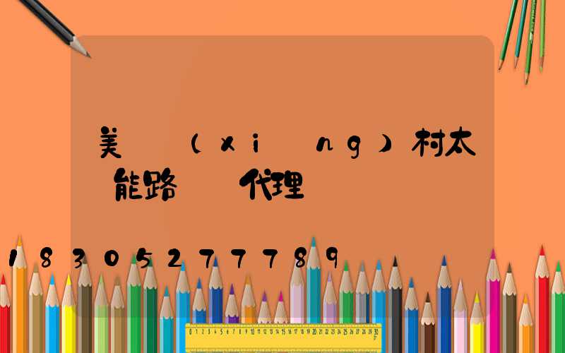 美麗鄉(xiāng)村太陽能路燈總代理