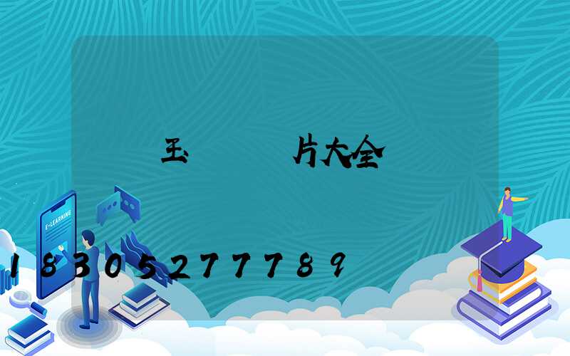 華體玉蘭燈圖片大全