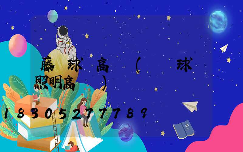 藤縣球場高桿燈(廣場球場照明高桿燈)