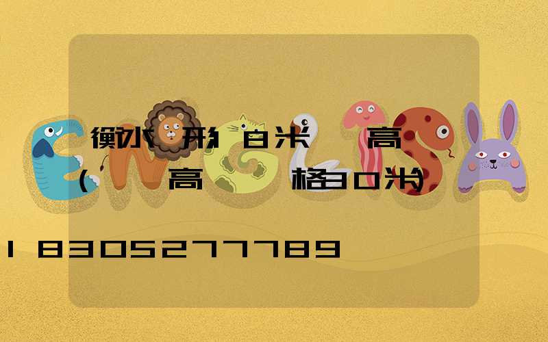 衡水錐形18米廣場高桿燈(廣場高桿燈價格30米)