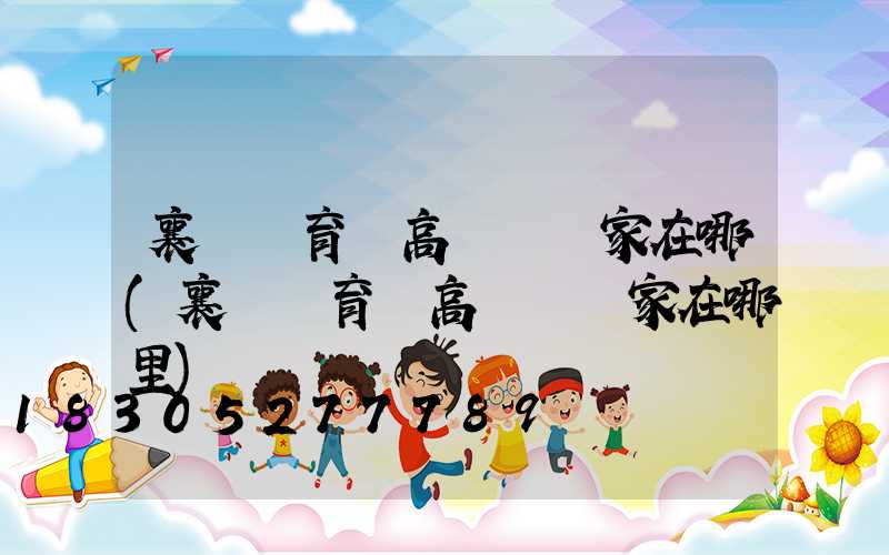 襄陽體育場高桿燈廠家在哪(襄陽體育場高桿燈廠家在哪里)