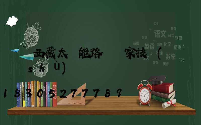 西藏太陽能路燈廠家技術(shù)
