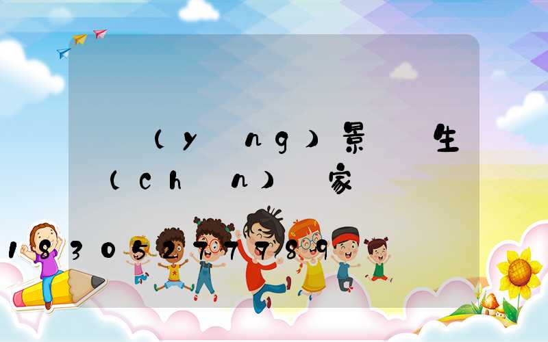 貴陽(yáng)景觀燈生產(chǎn)廠家