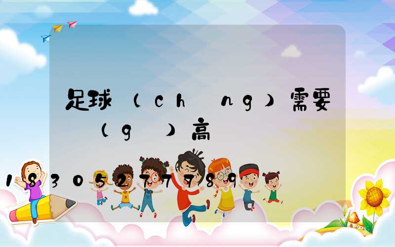 足球場(chǎng)需要幾個(gè)高桿燈桿