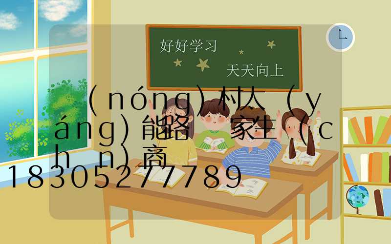 農(nóng)村太陽(yáng)能路燈廠家生產(chǎn)商
