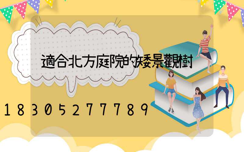 適合北方庭院的矮景觀樹