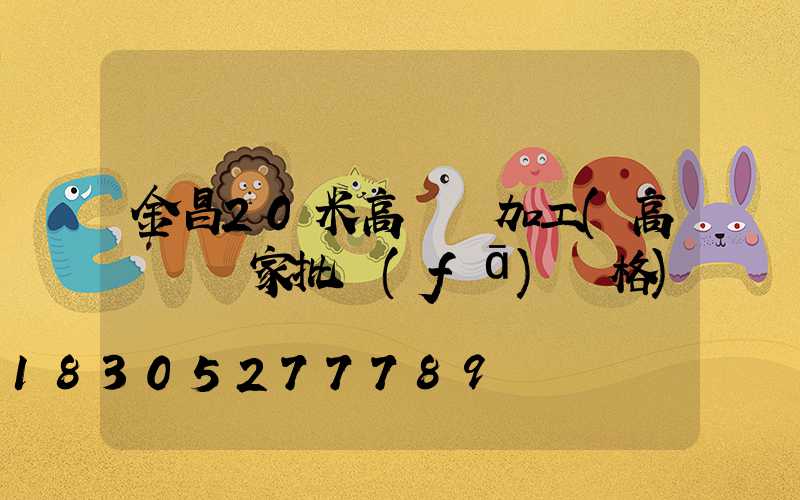 金昌20米高桿燈加工(高桿燈廠家批發(fā)價格)