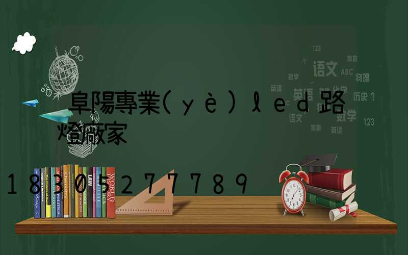 阜陽專業(yè)led路燈廠家