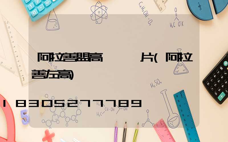 阿拉善盟高桿燈圖片(阿拉善左高)