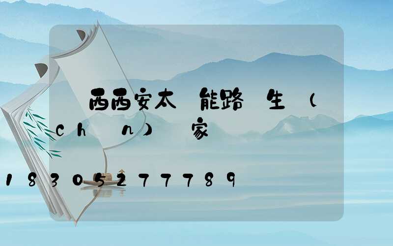 陜西西安太陽能路燈生產(chǎn)廠家