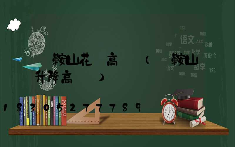馬鞍山花園高桿燈(馬鞍山升降高桿燈)