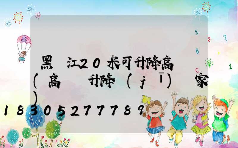 黑龍江20米可升降高桿燈(高桿燈升降機(jī)廠家)